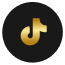 TIKTOKICON